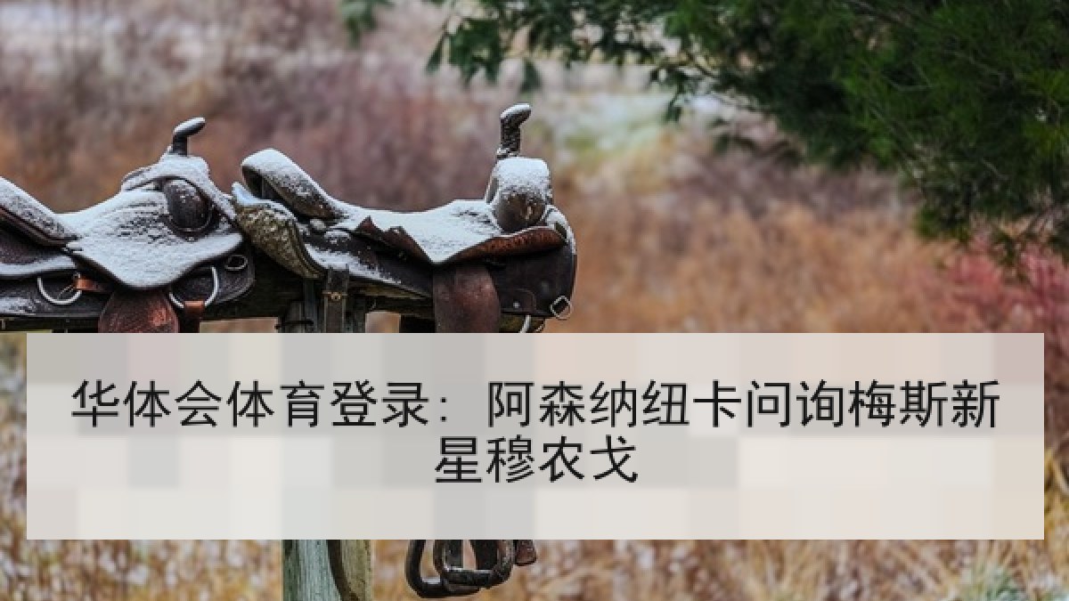 华体会体育登录: 阿森纳纽卡问询梅斯新星穆农戈