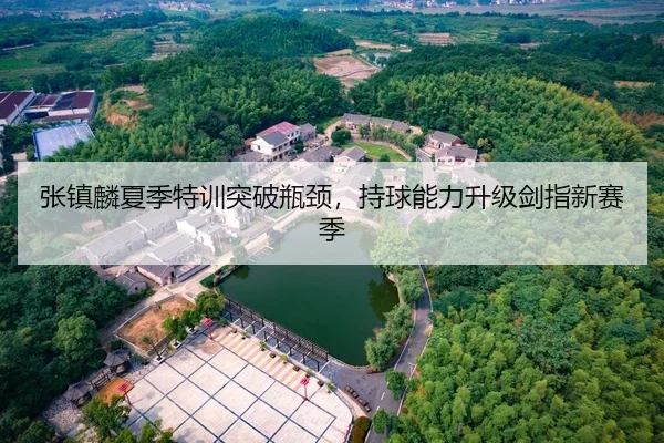 张镇麟夏季特训突破瓶颈，持球能力升级剑指新赛季