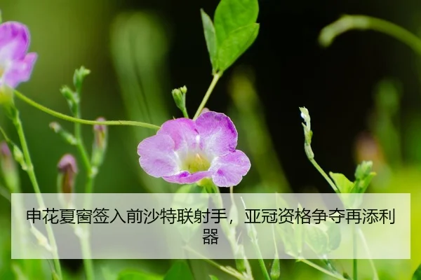 shen-hua-xia-chuang-qian-ru-qian-sha-te-lian-she-shou-ya-guan-zi-ge-zheng-duo-zai-tian-li-qi-3-167.jpg