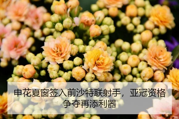 申花夏窗签入前沙特联射手，亚冠资格争夺再添利器