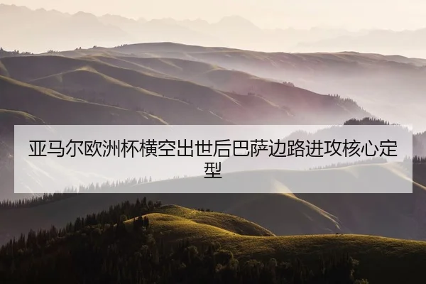 ya-ma-er-ou-zhou-bei-heng-kong-chu-shi-hou-ba-sa-bian-lu-jin-gong-he-xin-ding-xing-2-606.jpg